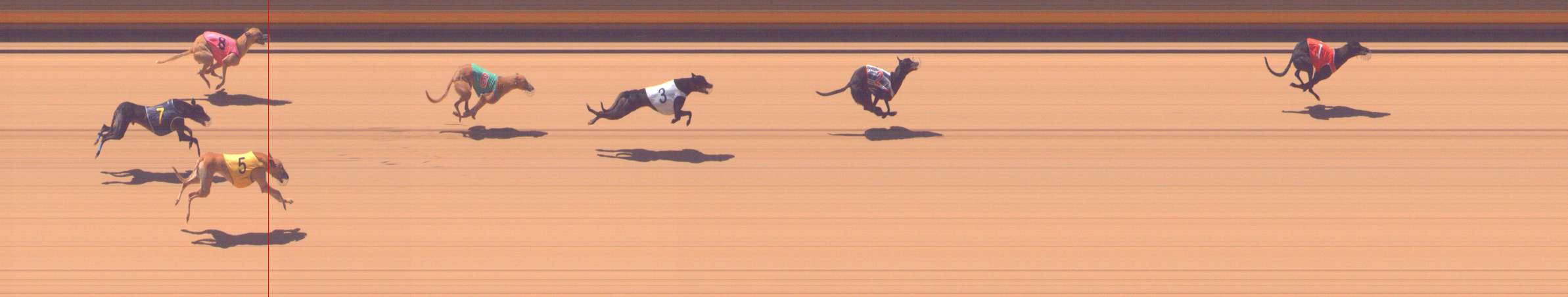 Photo finish for Shepparton Race 11