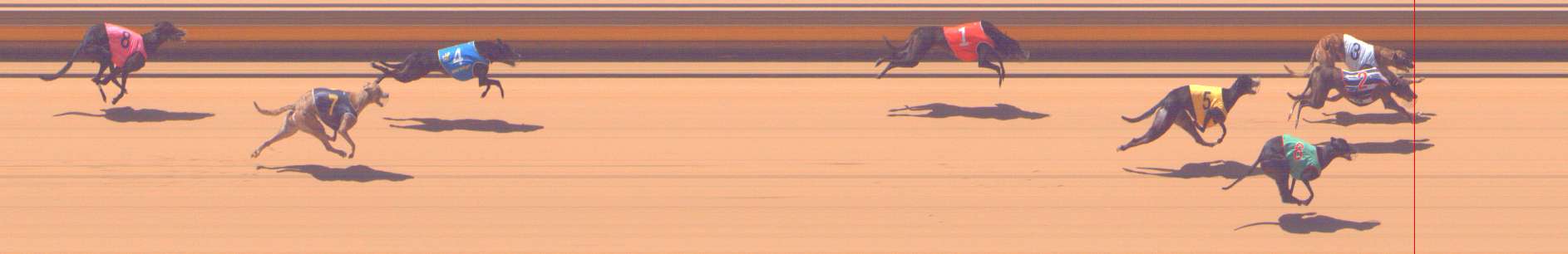 Photo finish for Shepparton Race 12
