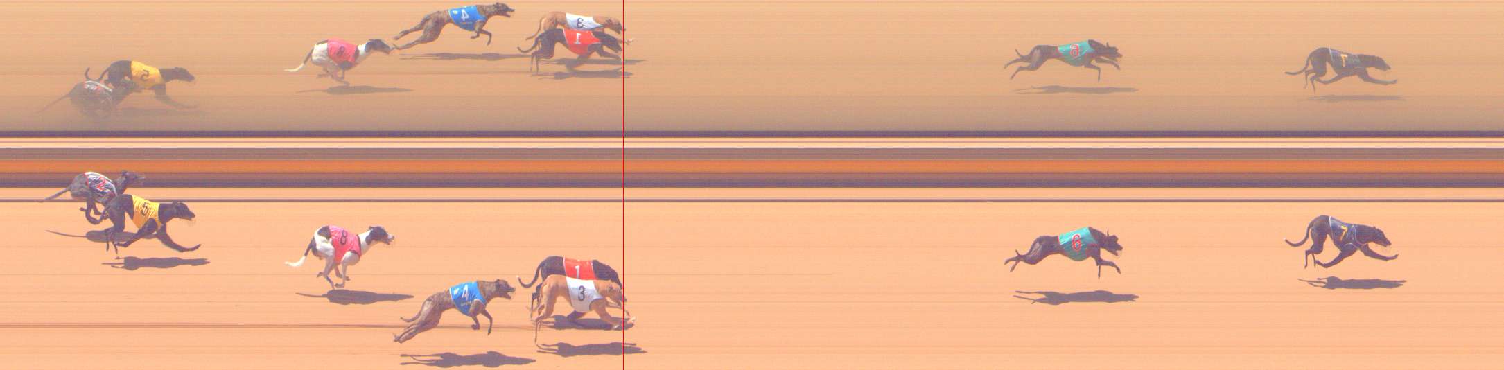 Photo finish for Shepparton Race 13