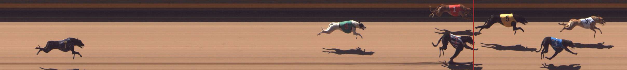 Photo finish for Shepparton Race 1