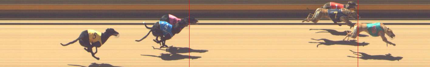 Photo finish for Shepparton Race 3