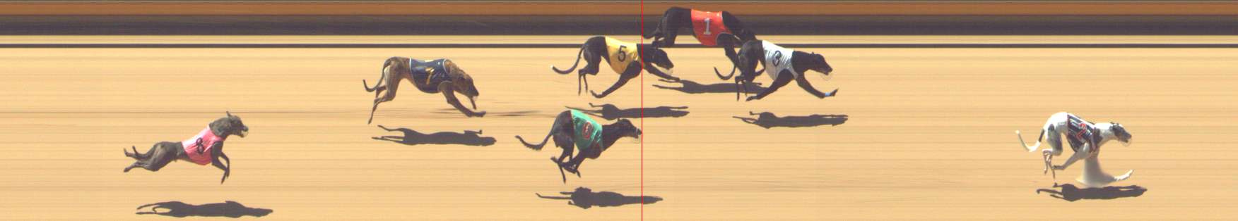 Photo finish for Shepparton Race 4