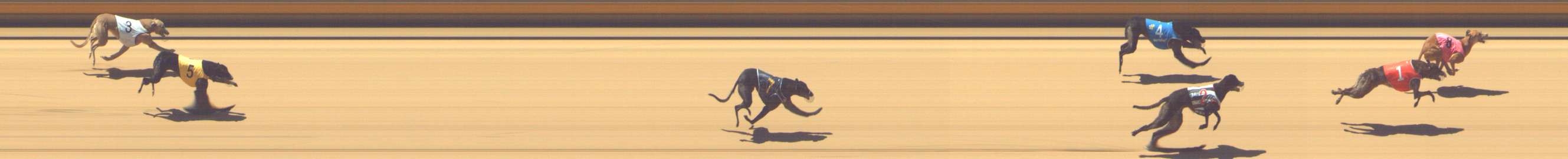 Photo finish for Shepparton Race 5