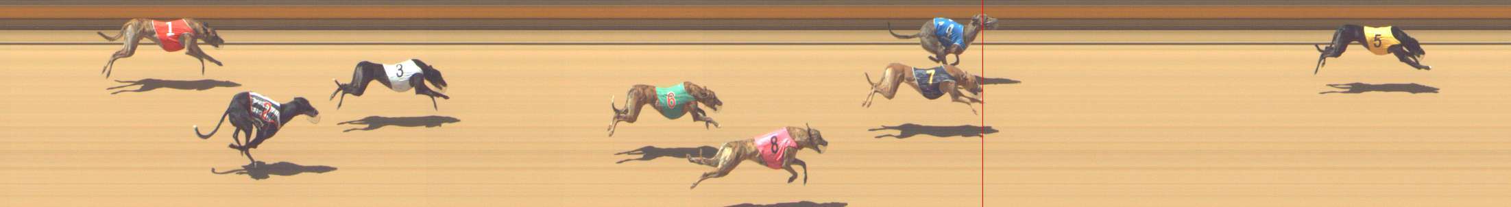 Photo finish for Shepparton Race 8