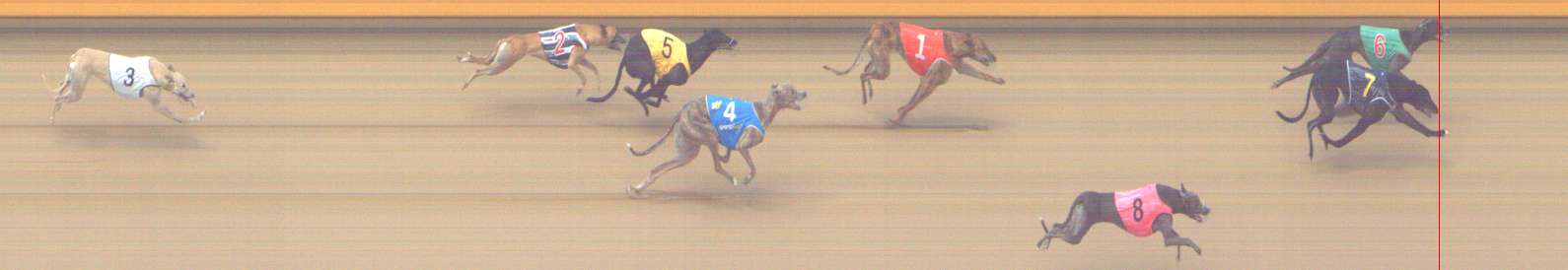 Photo finish for Shepparton Race 9
