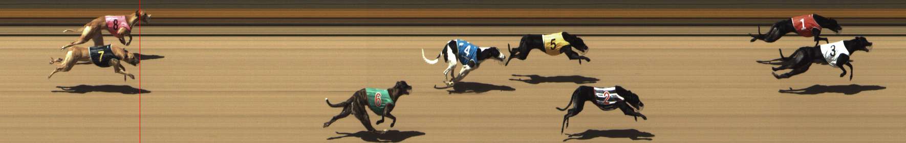 Photo finish for Shepparton Race 10