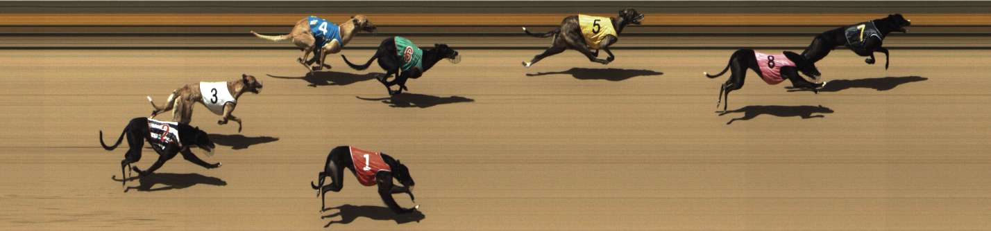 Photo finish for Shepparton Race 11