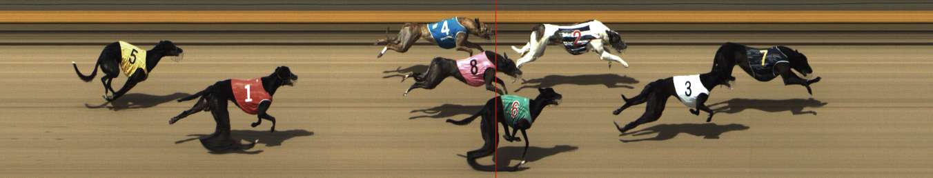 Photo finish for Shepparton Race 12