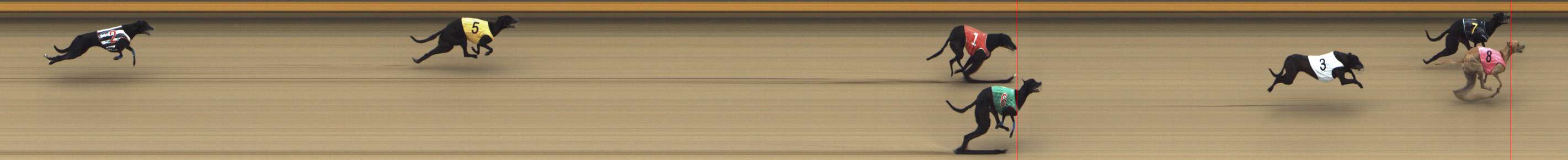 Photo finish for Shepparton Race 13
