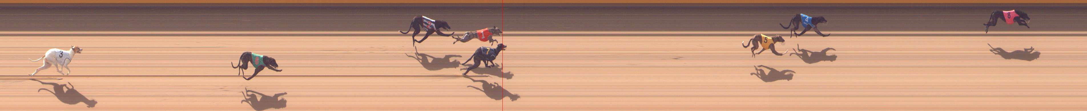 Photo finish for Shepparton Race 2
