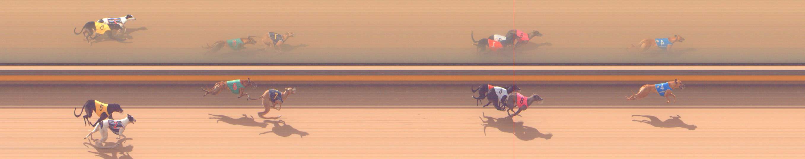 Photo finish for Shepparton Race 3