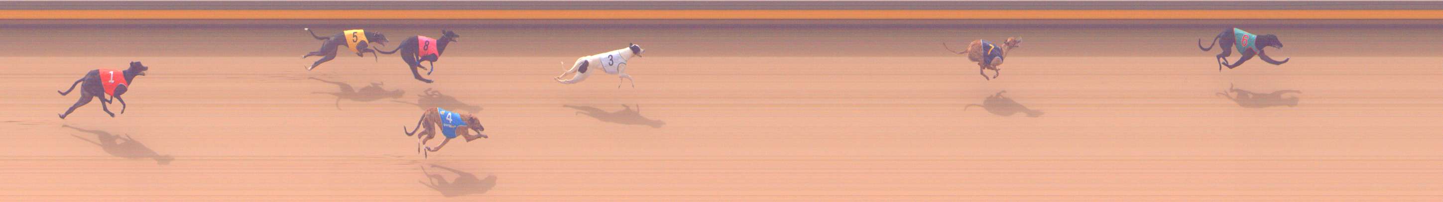 Photo finish for Shepparton Race 4