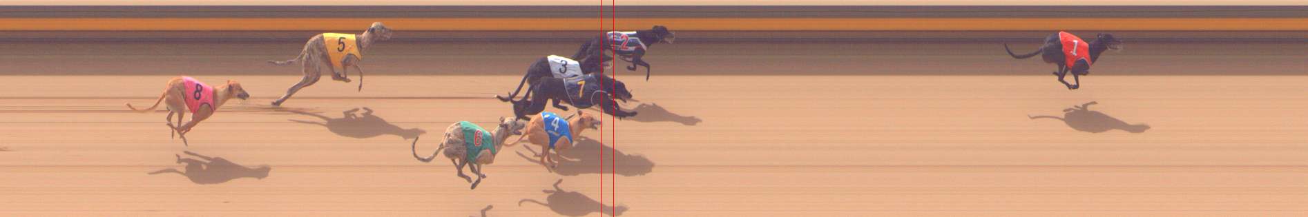 Photo finish for Shepparton Race 5