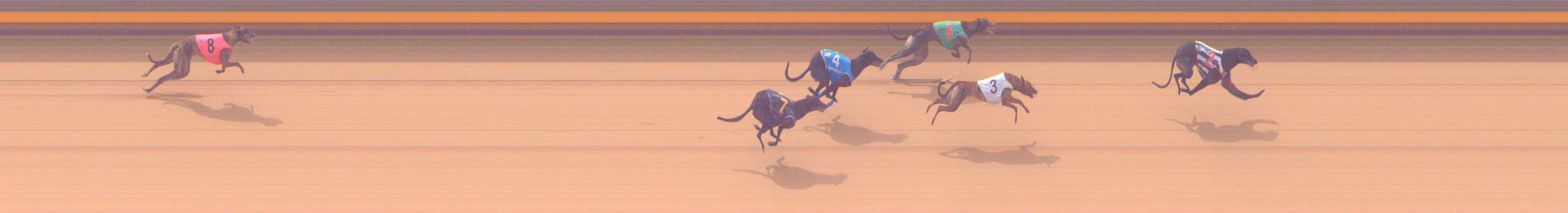 Photo finish for Shepparton Race 6