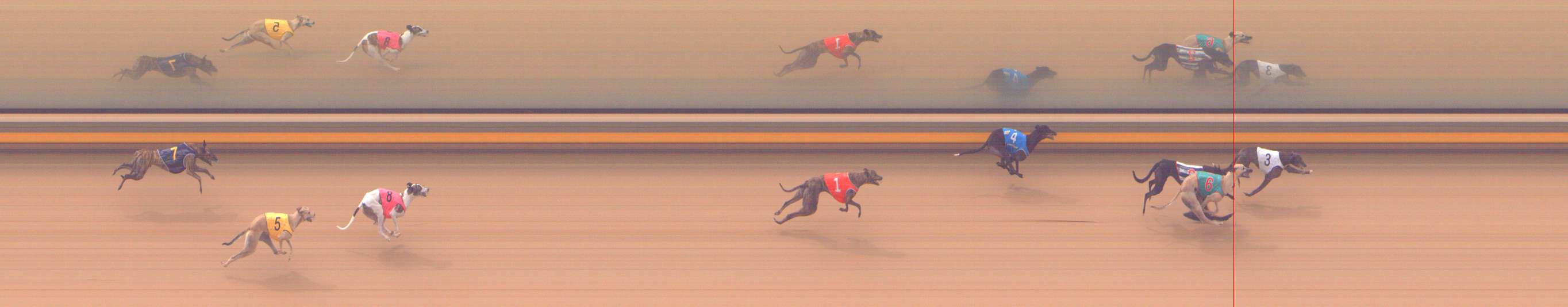 Photo finish for Shepparton Race 7