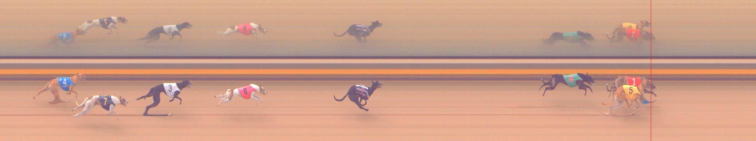 Photo finish for Shepparton Race 8