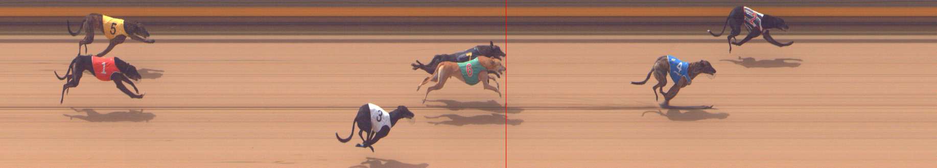 Photo finish for Shepparton Race 9