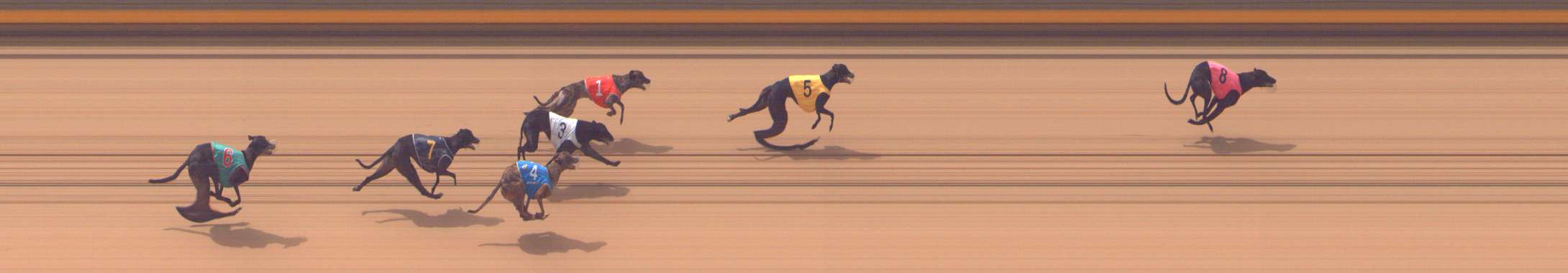 Photo finish for Shepparton Race 10