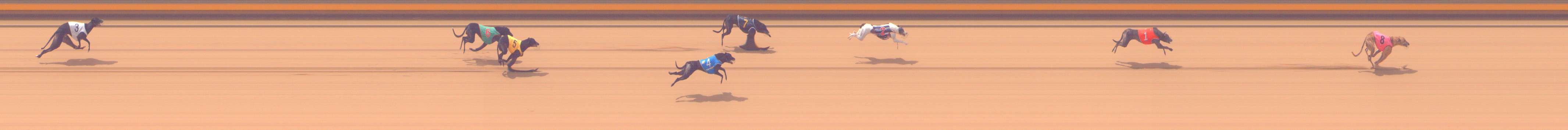 Photo finish for Shepparton Race 11