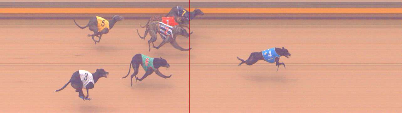 Photo finish for Shepparton Race 12