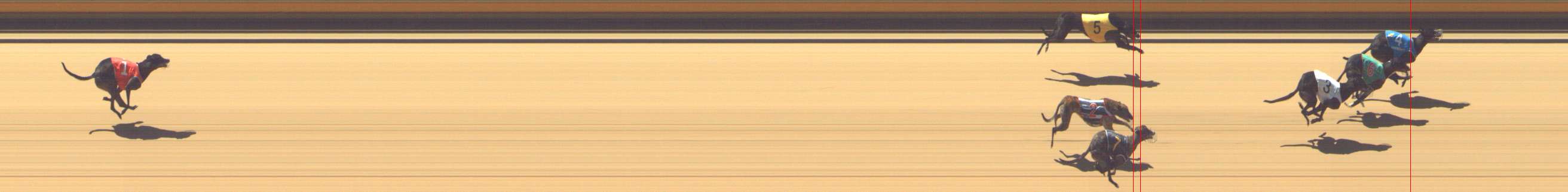 Photo finish for Shepparton Race 1