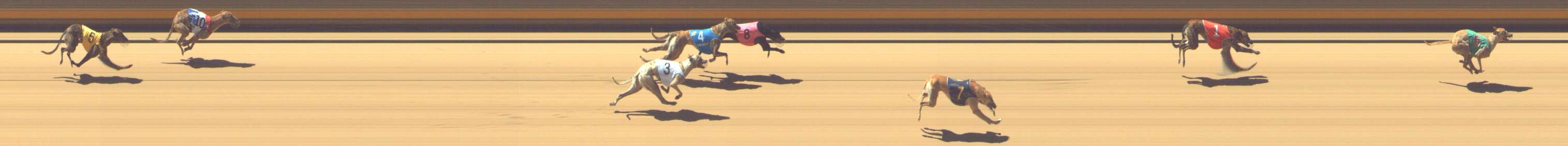 Photo finish for Shepparton Race 3
