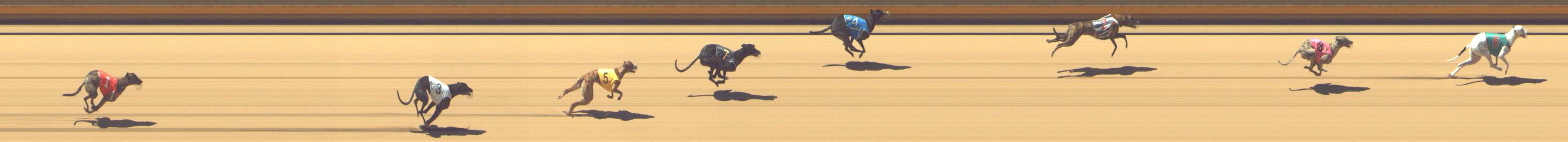 Photo finish for Shepparton Race 4