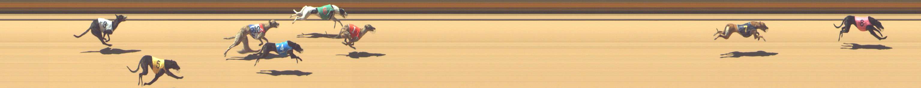 Photo finish for Shepparton Race 5