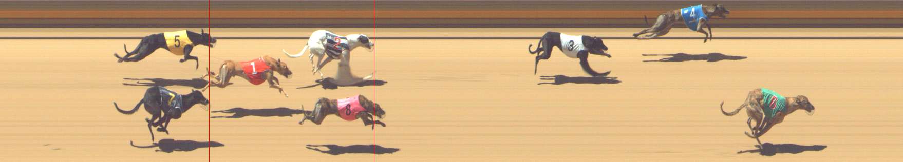 Photo finish for Shepparton Race 6