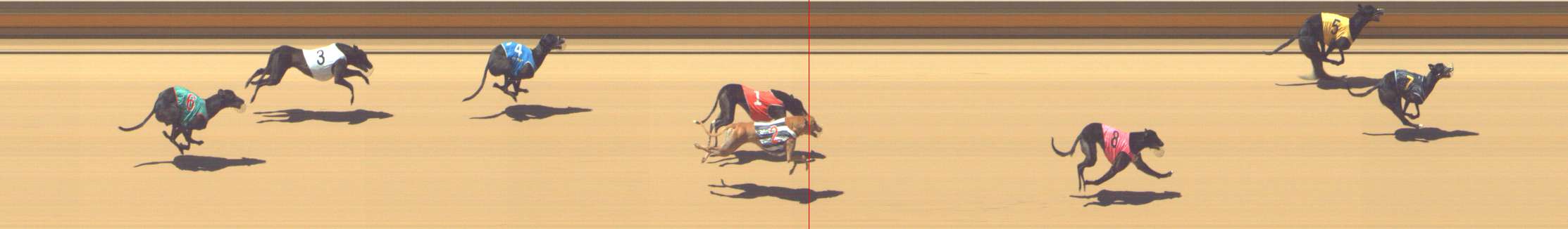 Photo finish for Shepparton Race 7