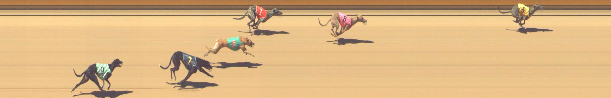 Photo finish for Shepparton Race 8