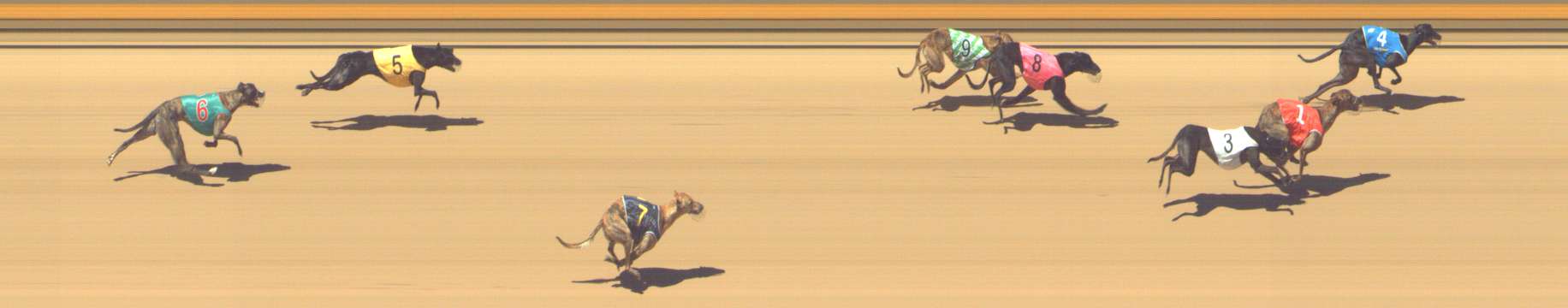 Photo finish for Shepparton Race 10