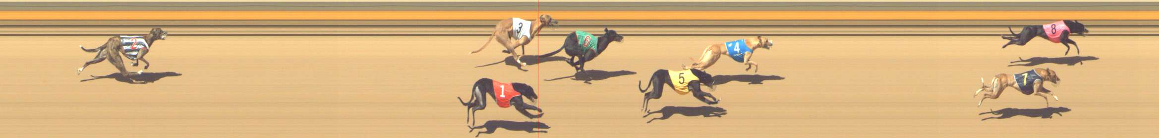 Photo finish for Shepparton Race 11