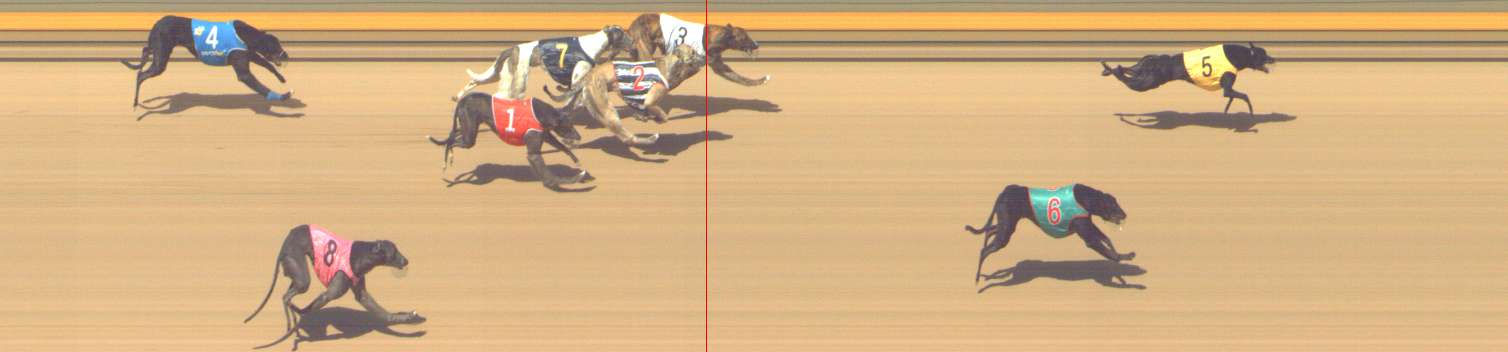 Photo finish for Shepparton Race 12