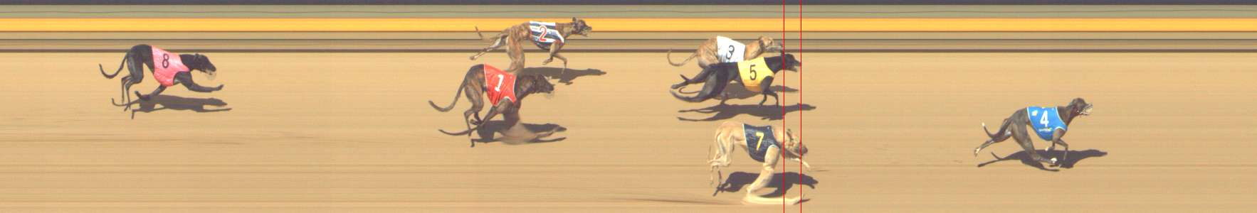 Photo finish for Shepparton Race 13