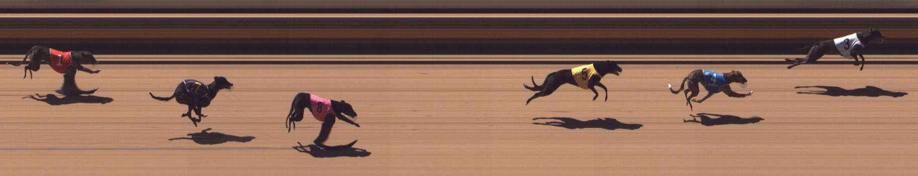 Photo finish for Shepparton Race 2
