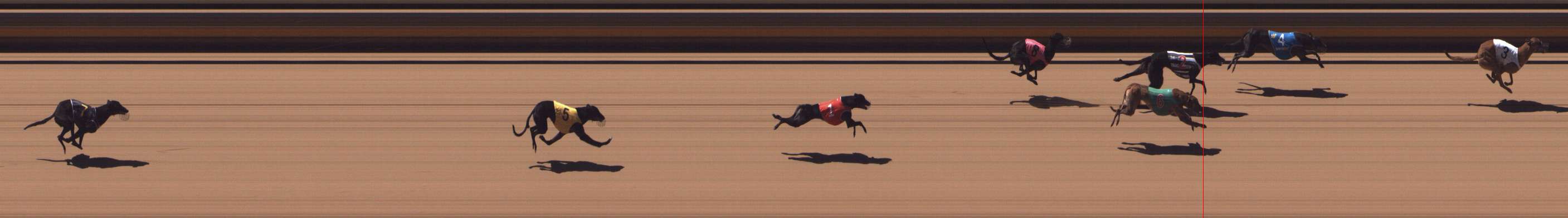 Photo finish for Shepparton Race 3