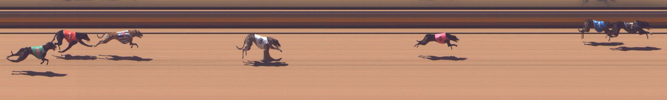 Photo finish for Shepparton Race 4