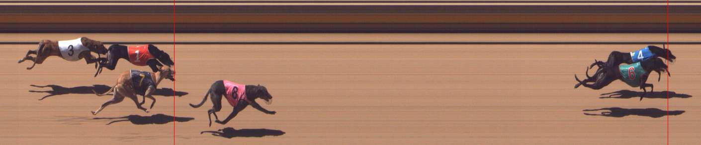 Photo finish for Shepparton Race 5