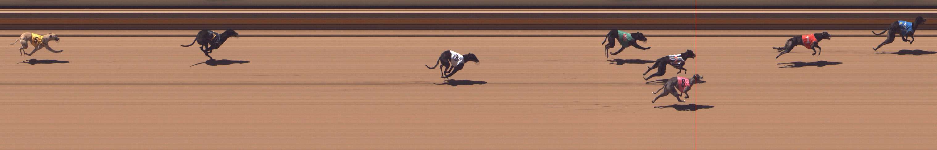 Photo finish for Shepparton Race 6