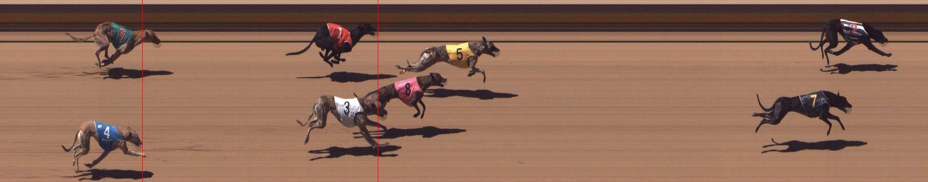 Photo finish for Shepparton Race 7