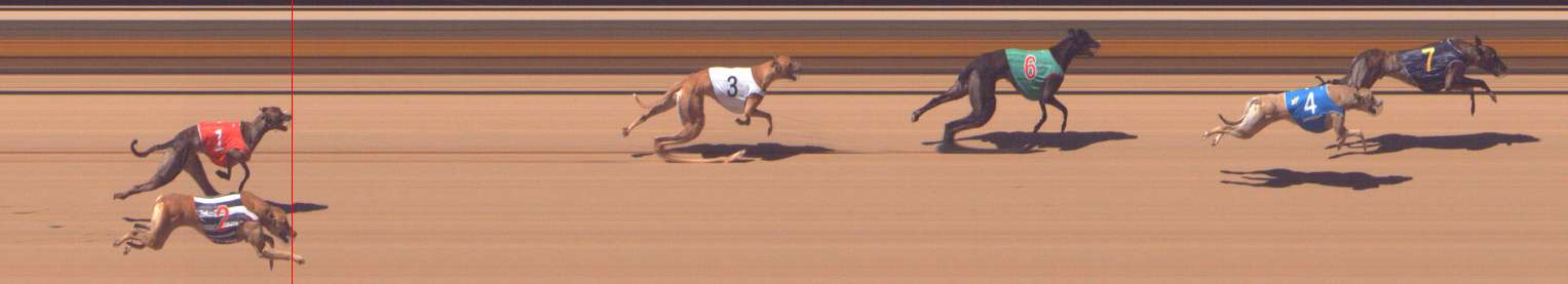 Photo finish for Shepparton Race 8