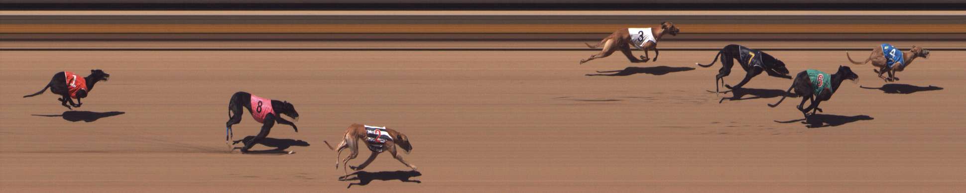 Photo finish for Shepparton Race 9