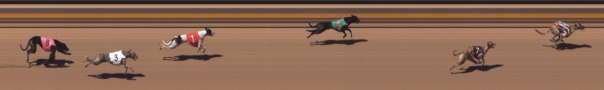 Photo finish for Shepparton Race 10