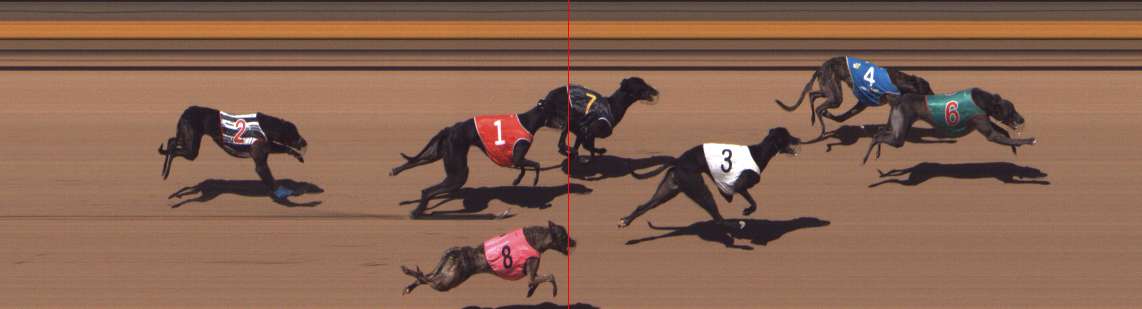 Photo finish for Shepparton Race 11