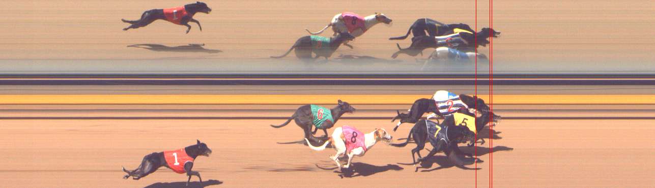 Photo finish for Shepparton Race 12