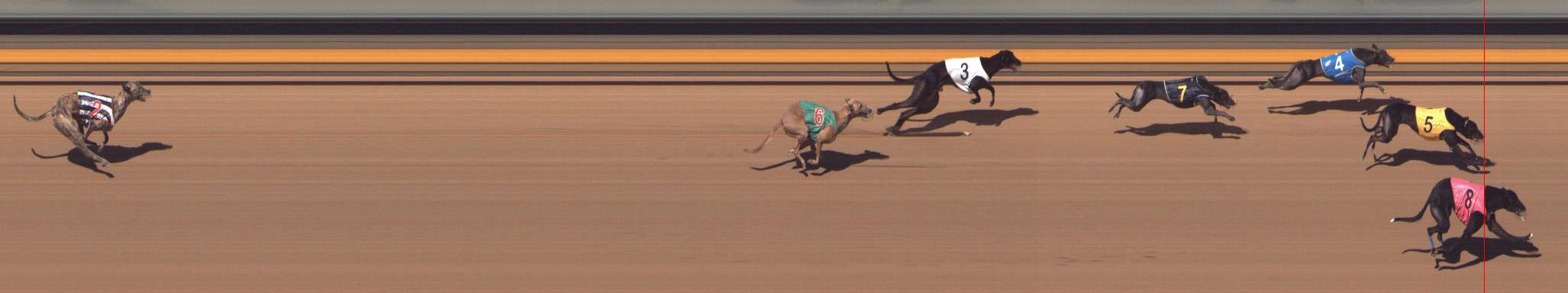 Photo finish for Shepparton Race 13
