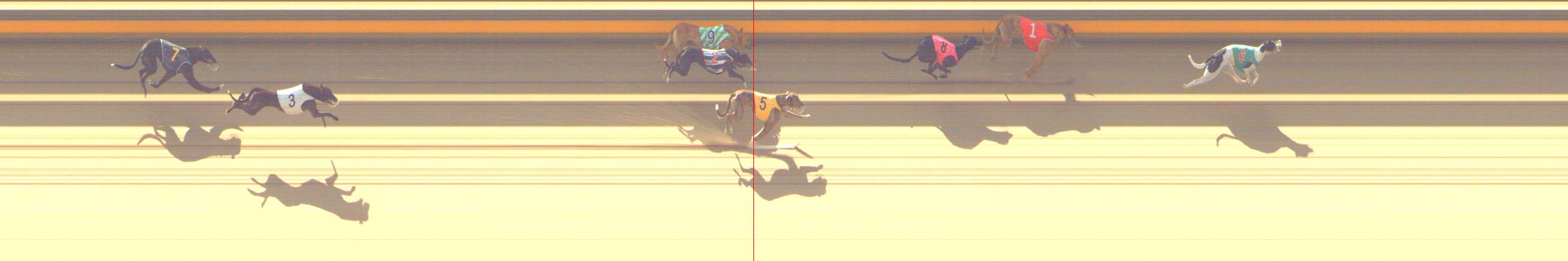 Photo finish for Shepparton Race 1