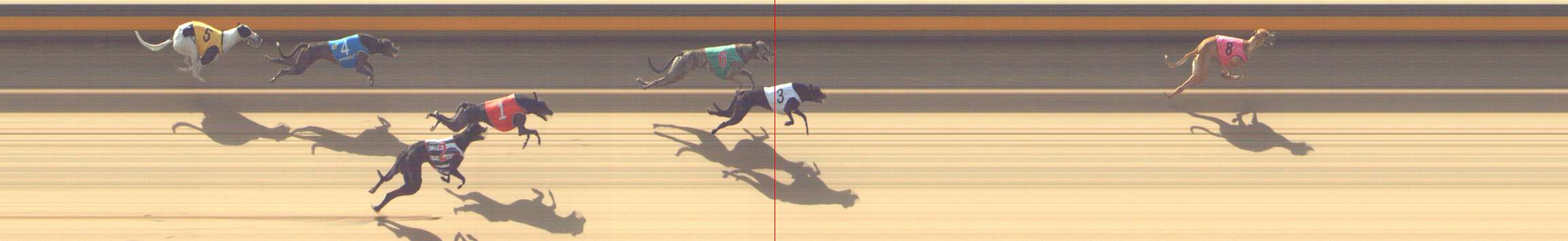 Photo finish for Shepparton Race 2