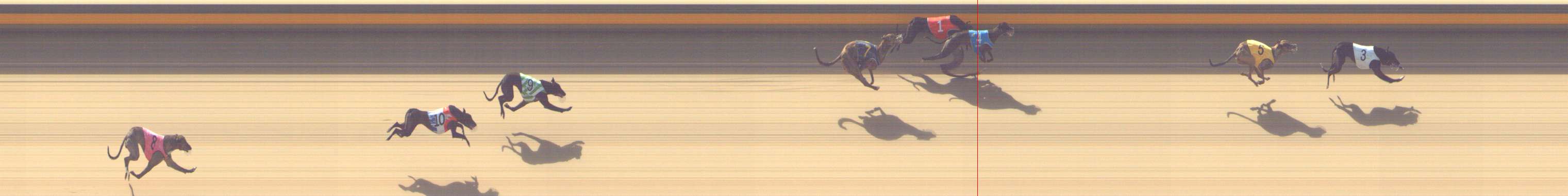 Photo finish for Shepparton Race 3